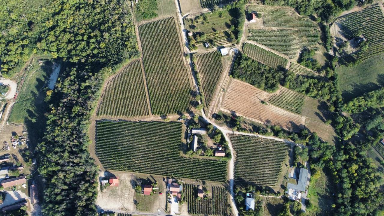 Lelle Vineyard Cottages Balatonlelle Eksteriør bilde